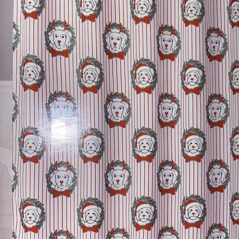 Shower curtain